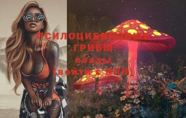 гашик Абдулино