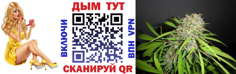 купить   Новосиль  Каннабис OG Kush 
